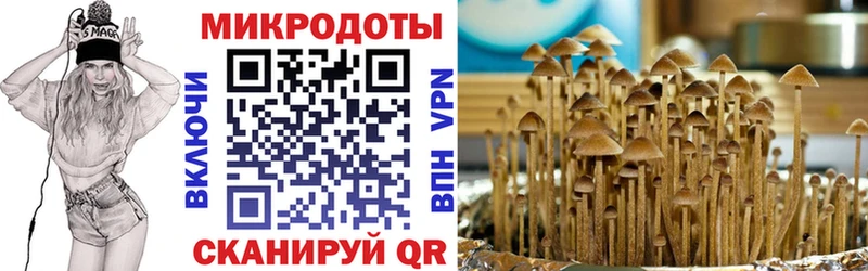 Псилоцибиновые грибы Magic Shrooms  что такое наркотик  Приморско-Ахтарск 